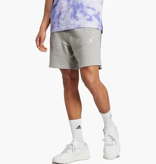 Шорты мужские Adidas All Szn French Terry Grey IY4152