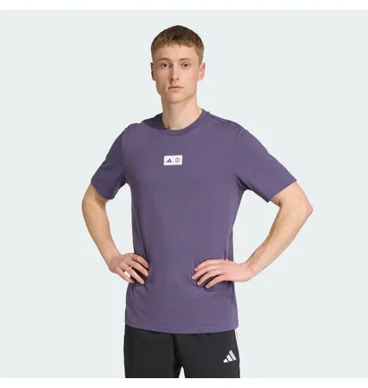 Футболка мужская Adidas Manchester United Seasonal Graphic Tee Violet JN2921