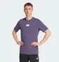 Футболка мужская Adidas Manchester United Seasonal Graphic Tee Violet JN2921