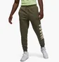 Штаны мужские Air Jordan M J Flt Mvp Fleece Pant Green Dv1603-325
