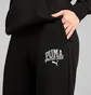 Штаны женские Puma Class Sweatpants Black 685037-01