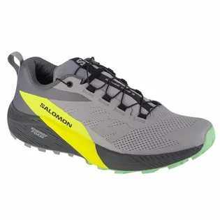 Кросівки чоловічі Salomon Sense Ride 5 Grey 471442