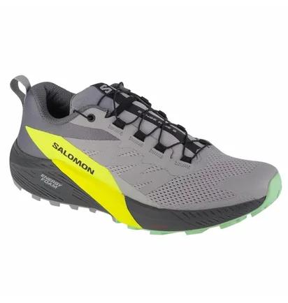 Кросівки чоловічі Salomon Sense Ride 5 Grey 471442