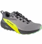 Кросівки чоловічі Salomon Sense Ride 5 Grey 471442