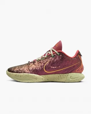 Кроссовки унисекс Nike Lebron Xxi Queen Conch Basketball Shoes Bordo FN0708-800
