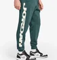Штани чоловічі Nike Mvp Green FV7229-366