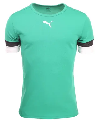 Футболка мужская Puma Teamrise Jersey Green 704932-05