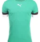 Футболка мужская Puma Teamrise Jersey Green 704932-05