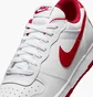 Кроссовки мужские Nike Big Low White 355152-150
