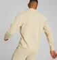 Світшот чоловічий Puma Rad/Cal Beige 673317-88