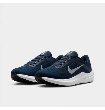 Кроссовки мужские Nike Winflo 10 Running Shoes Blue DV4022-400