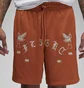 Шорты унисекс Air Jordan Artist Series By Umar Rashid Mesh Shorts Orange DX9720-812