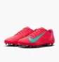 Бутси чоловічі Nike Mercurial Vapor 16 Club Fg/Mg Red FQ8441-800