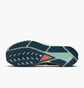 Кросівки чоловічі Nike Pegasus Trail 4 Running Shoes Black Dj6158-004