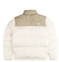 Пуховик мужской The North Face Saikuru Jacket Beige NF0A853I4QI