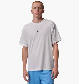 Футболка мужская Air Jordan Essentials Dri-Fit Grey IF0882-100