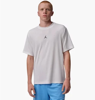 Футболка мужская Air Jordan Essentials Dri-Fit Grey IF0882-100