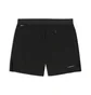 Шорти чоловічі Puma Dreamrun Drycell Black 528425-01