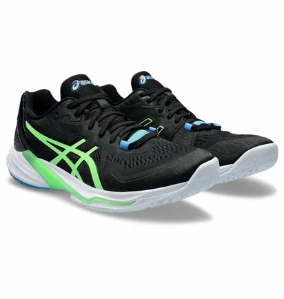 Кроссовки мужские Asics Sky Elite Ff 2 Black 1051A064-005
