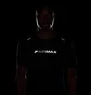 Футболка мужская Nike Dri-Fit T-Shirt Black HQ4904-010