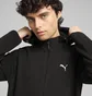Толстовка мужская Puma Evostripe Full-Zip Hoodie Black 684613-01