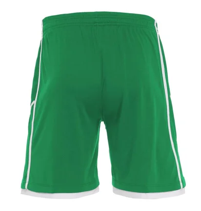 Шорты мужские Macron Algol Short Green 5069-0401