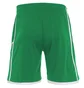 Шорты мужские Macron Algol Short Green 5069-0401