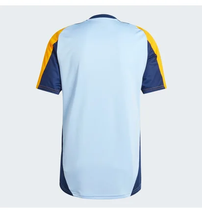 Футболка мужская Adidas Real Madrid Tiro 24 Competition Training Light Blue/Yellow IT5125
