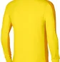 Олімпійка чоловіча Nike Jacket M Nk Df Acd23 Trk Jkt K Yellow DR1681-719