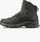 Ботинки мужские Salomon Quest 4D 4 Gtx Olive/Black 412925