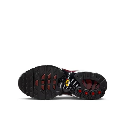 Кросівки дитячі Nike Air Max Plus Gs Bordo/Grey CD0609-602