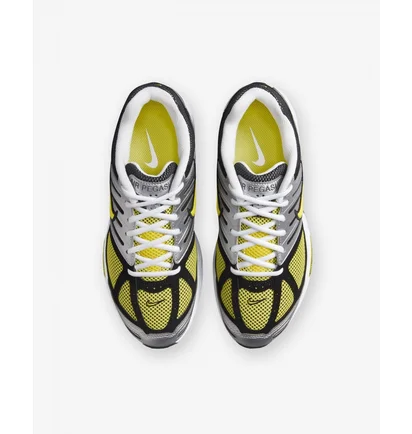 Кроссовки женские Nike Air Pegasus 2005 Metallic HQ5718-100