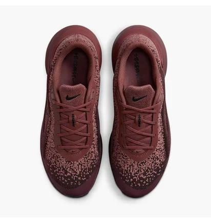 Кросівки жіночі Nike W Versair Brown DZ3547-200