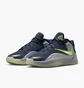 Кросівки чоловічі Nike Giannis Freak 7 Blue IH2366-400