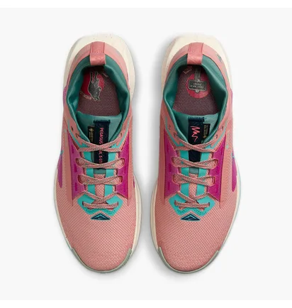 Кроссовки женские Nike Pegasus Trail 5 Gtx Peach FQ0912-600