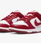 Кросівки жіночі Nike Dunk Low Next Nature Gym Red/White Dn1431-101
