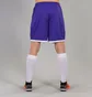 Шорты мужские Joma Toledo Violet 100006.550
