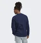 Свитшот мужской Adidas Adicolor Classics Trefoil Crewneck Sweatshirt Black Hk5294