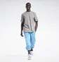 Футболка мужская Reebok Classics Natural Dye Grey HB5966
