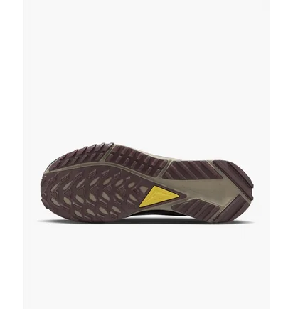 Кроссовки мужские Nike Pegasus Trail 4 Gore-Tex Waterproof Trail Running Shoes Black DJ7926-003