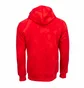 Худи мужское Air Jordan Essential All Over Print Fleece Pullover Hoody Red DQ7507-612