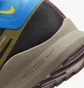 Кроссовки мужские Nike Pegasus Trail 4 Gore-Tex Waterproof Trail Running Shoes Black DJ7926-003