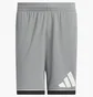 Шорты мужские Adidas Basketball Shorts 7 Inc Grey JN4730