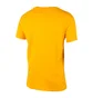 Футболка мужская Jeep T-Shirt Paintbrush J22W Yellow O102590-Y247