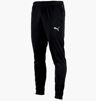 Штани чоловічі Puma Teamrise Poly Training Pants Black 65739003