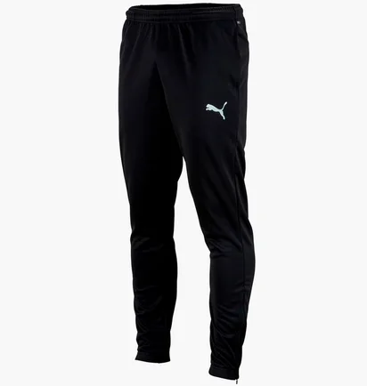 Штаны мужские Puma Teamrise Poly Training Pants Black 65739003