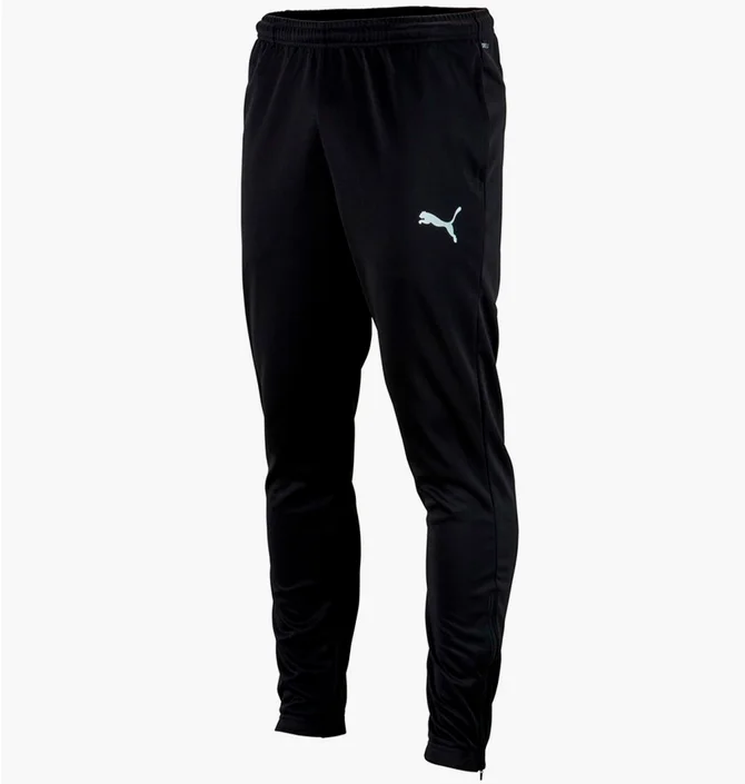 Штаны мужские Puma Teamrise Poly Training Pants Black 65739003