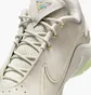 Кроссовки мужские Nike Lebron Xxii Beige FZ1094-002