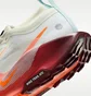 Кросівки жіночі Nike Pegasus Trail 5 Gtx White FQ0912-104