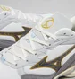 Кроссовки мужские Mizuno Wave Rider 10 Grey D1GA232101